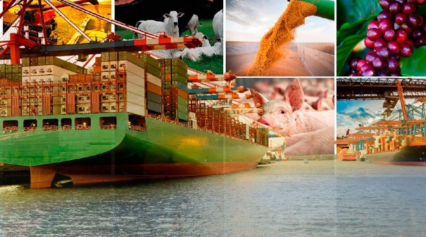 Exportações do agronegócio brasileiro batem recorde histórico e somam US$ 16,6 bilhões em abril
