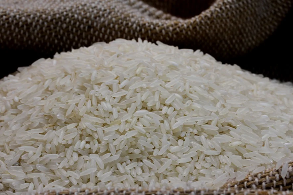 Com colheita quase concluída, safra recorde do Mercosul pressiona preço do arroz no Brasil