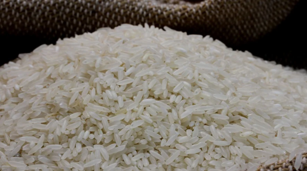 Com colheita quase concluída, safra recorde do Mercosul pressiona preço do arroz no Brasil