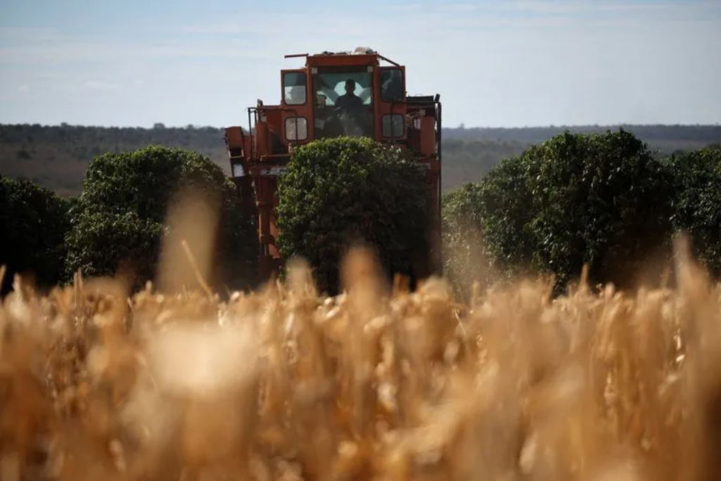 Troca de comando no agronegócio: 25% das maiores empresas do setor mudaram de CEO no último biênio