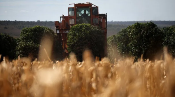 Troca de comando no agronegócio: 25% das maiores empresas do setor mudaram de CEO no último biênio