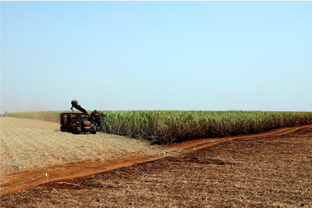 El Niño pode provocar nova disparada nos preços do café, cacau e açúcar, alertam especialistas