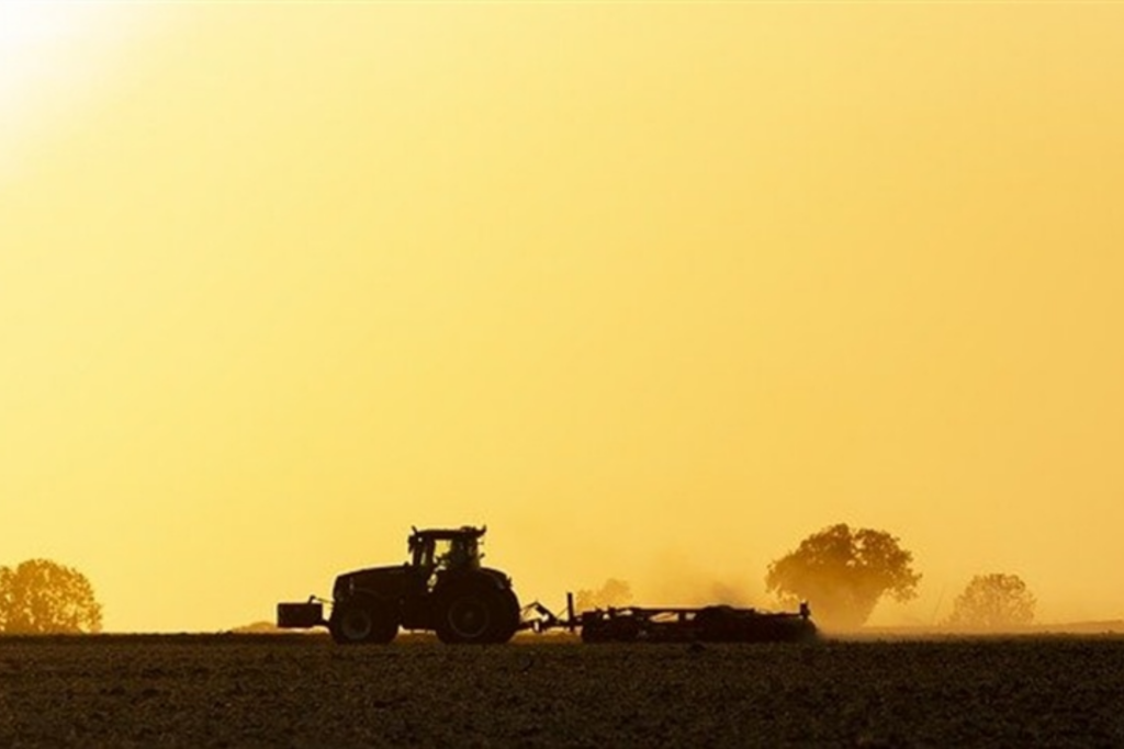 Faturamento da agropecuária brasileira atinge R$ 1,4 trilhão em maio, aponta Ministério da Agricultura