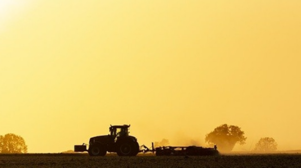 Faturamento da agropecuária brasileira atinge R$ 1,4 trilhão em maio, aponta Ministério da Agricultura
