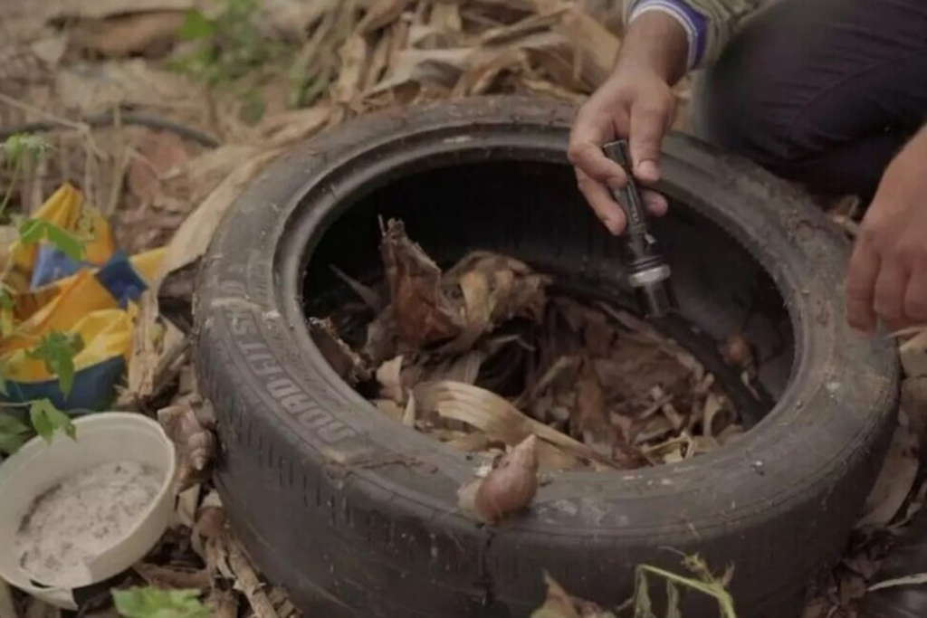 Nove municípios de MS entram em alto risco para infestação do mosquito da dengue