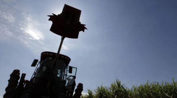 Preço do açúcar recua enquanto etanol ganha força com expectativa de mudança na gasolina