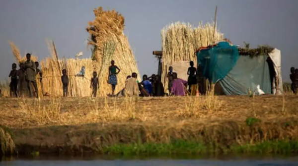 Fome no mundo recua pelo terceiro ano seguido, mas ainda atinge 645 milhões de pessoas, aponta relatório da FAO