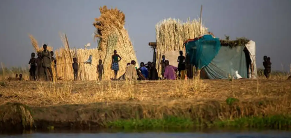Fome no mundo recua pelo terceiro ano seguido, mas ainda atinge 645 milhões de pessoas, aponta relatório da FAO