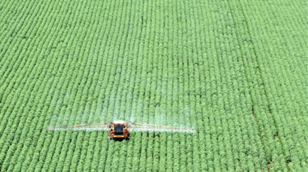 Agronegócio concentra R$ 7,7 bilhões em financiamentos do Plano Brasil Soberano após tarifaço dos EUA