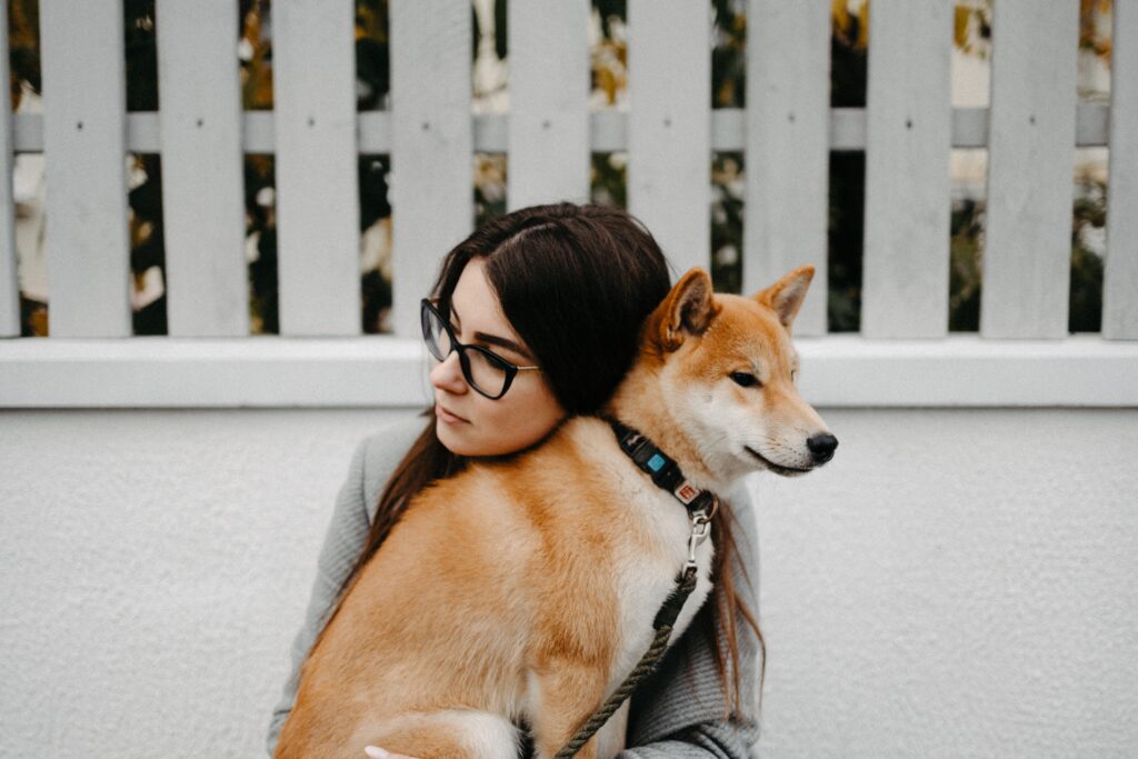 Pets vivem mais e exigem novos cuidados na terceira idade; especialistas orientam famílias sobre envelhecimento dos animais
