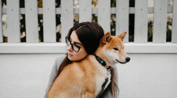 Pets vivem mais e exigem novos cuidados na terceira idade; especialistas orientam famílias sobre envelhecimento dos animais